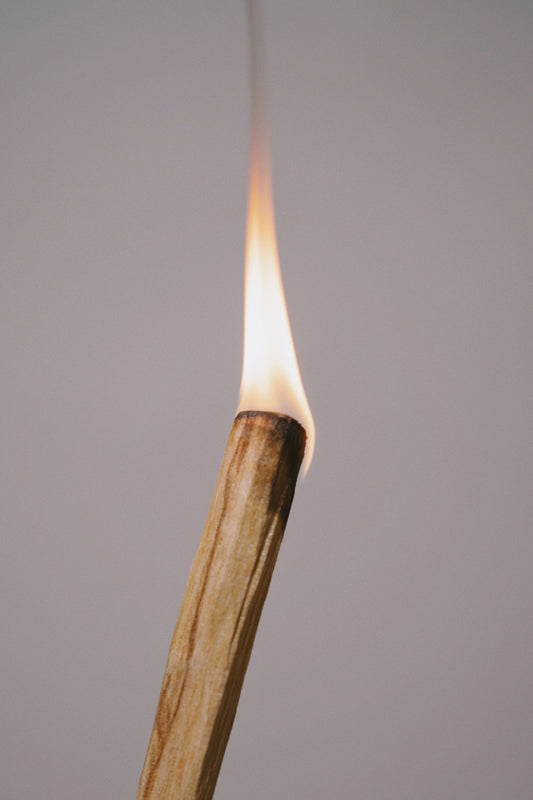 Vykuřovací dřívka - Palo Santo Sticks