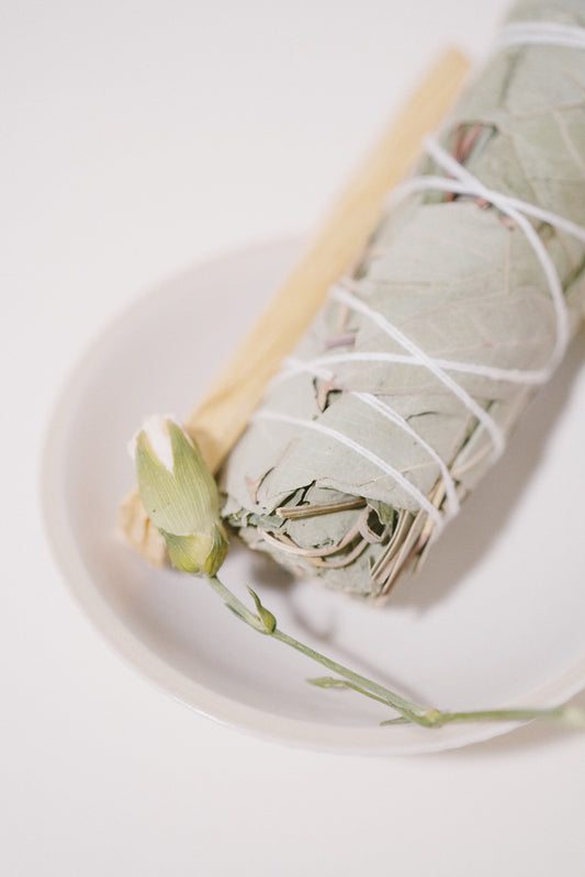 Vykuřovací svazek - Smudge Stick