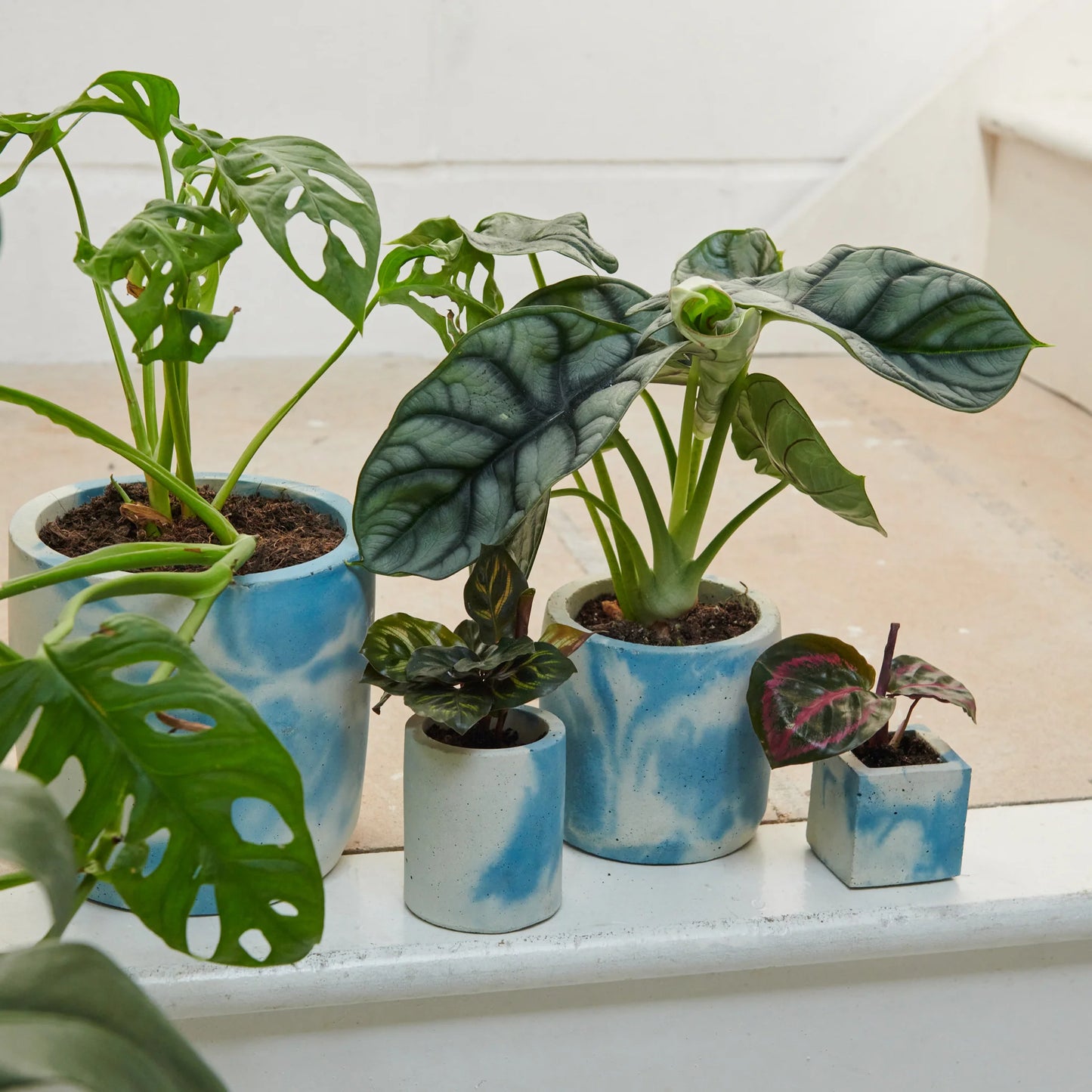 Medium Cylinder Concrete Pot - Blue-White