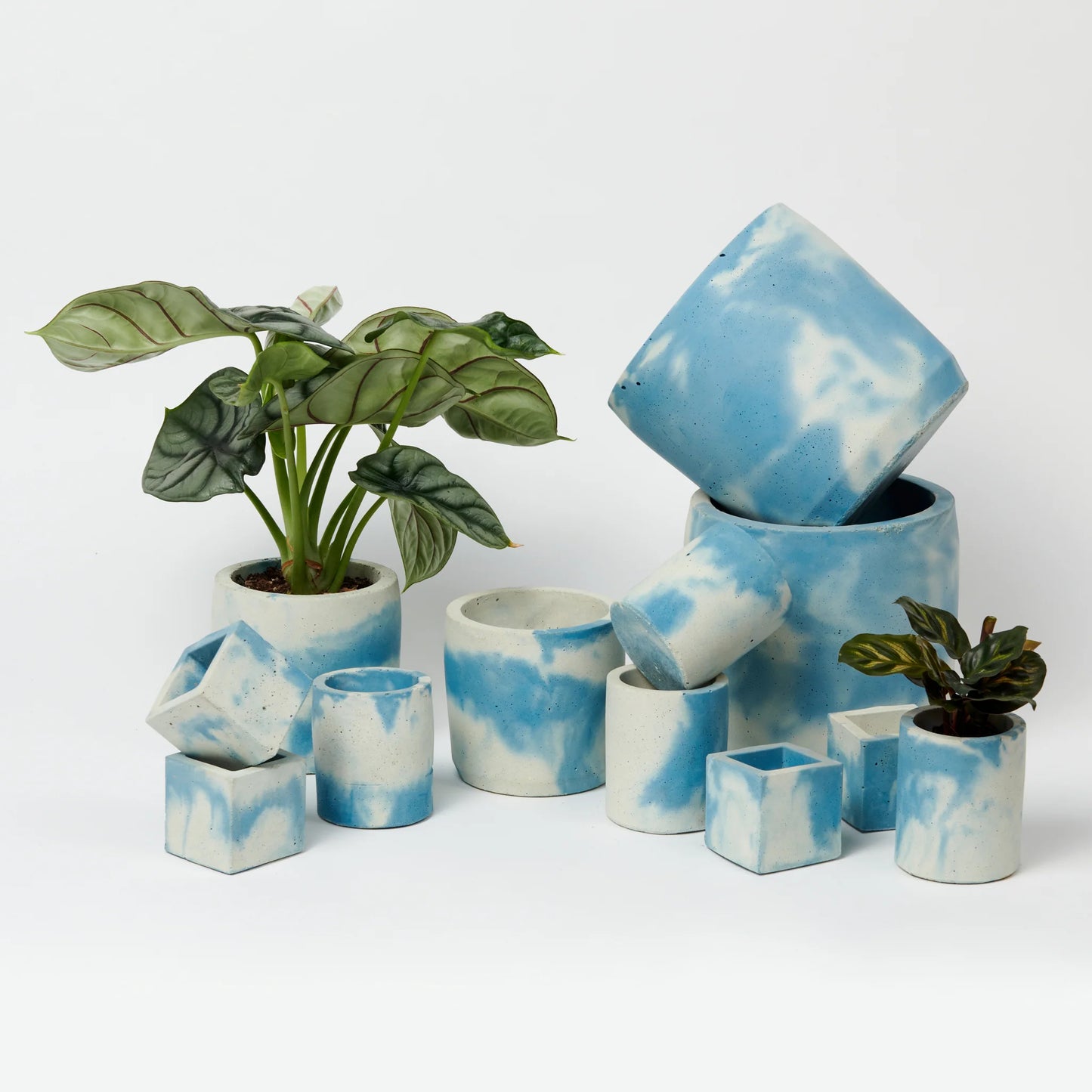 Medium Cylinder Concrete Pot - Blue-White
