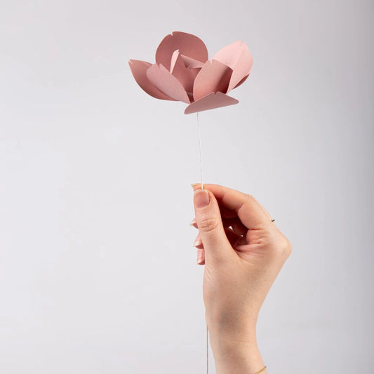 Papírové květiny Magnolie růůžové