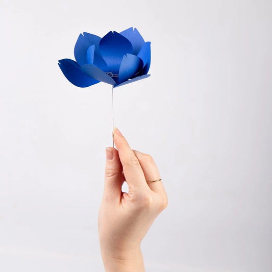 Papírové květiny magnólie kobaltové
