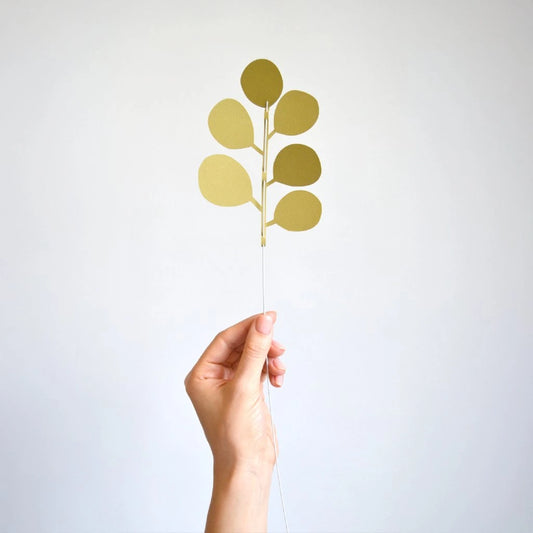 Papírový eukalyptus olivový