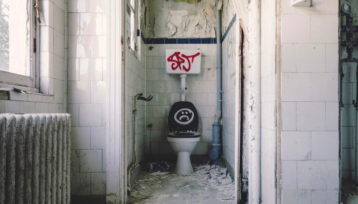 Death to the Flushing Toilet – Huussi